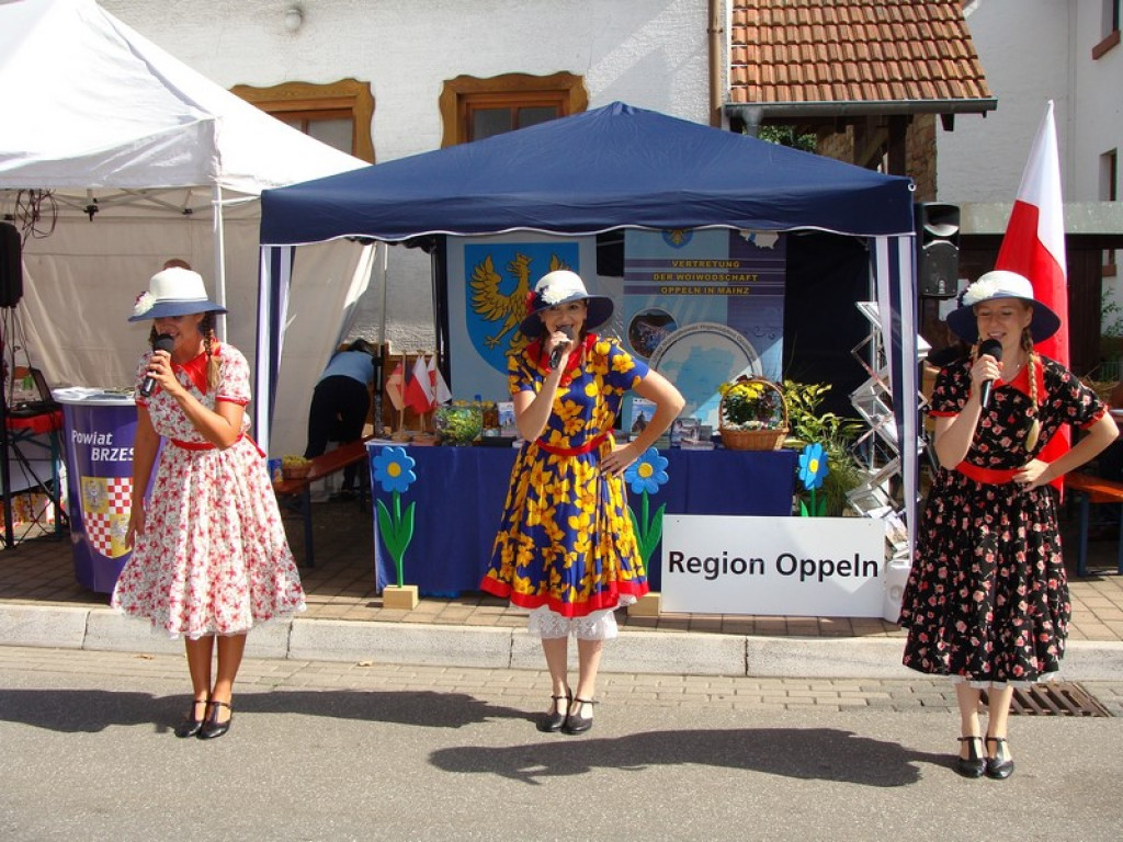 Inwencja w malowniczej Nadrenii