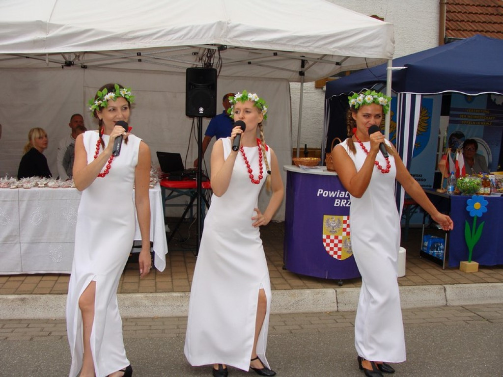 Inwencja w malowniczej Nadrenii