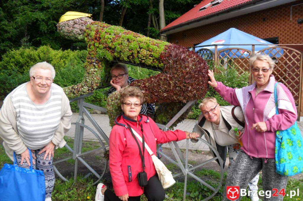 Słuchacze UTW  - a nam jest szkoda lata.....