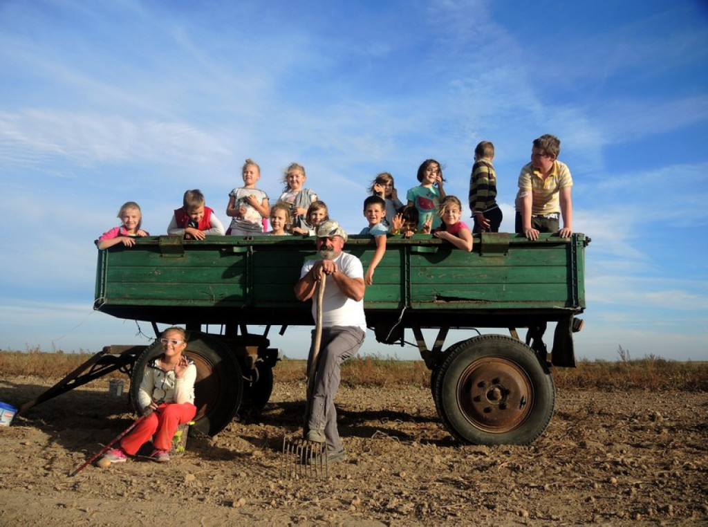 Wykopki jak za dawnych lat