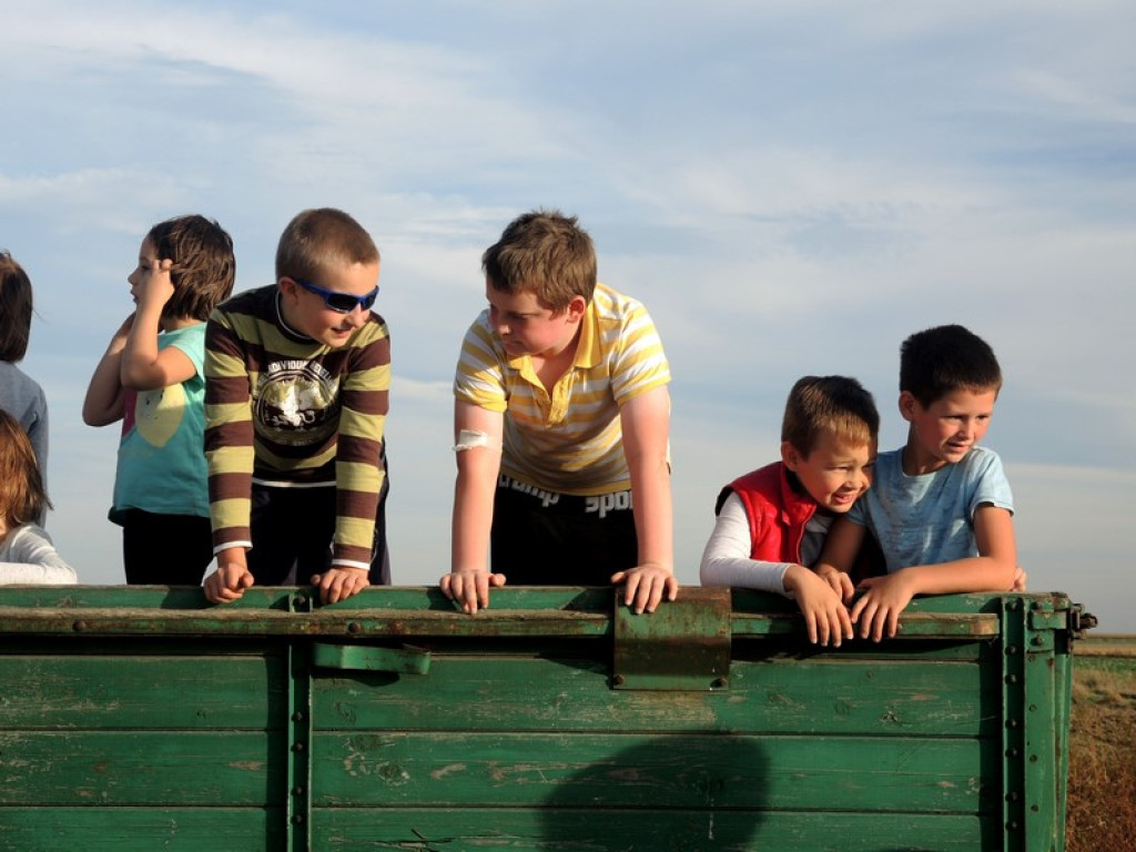 Wykopki jak za dawnych lat