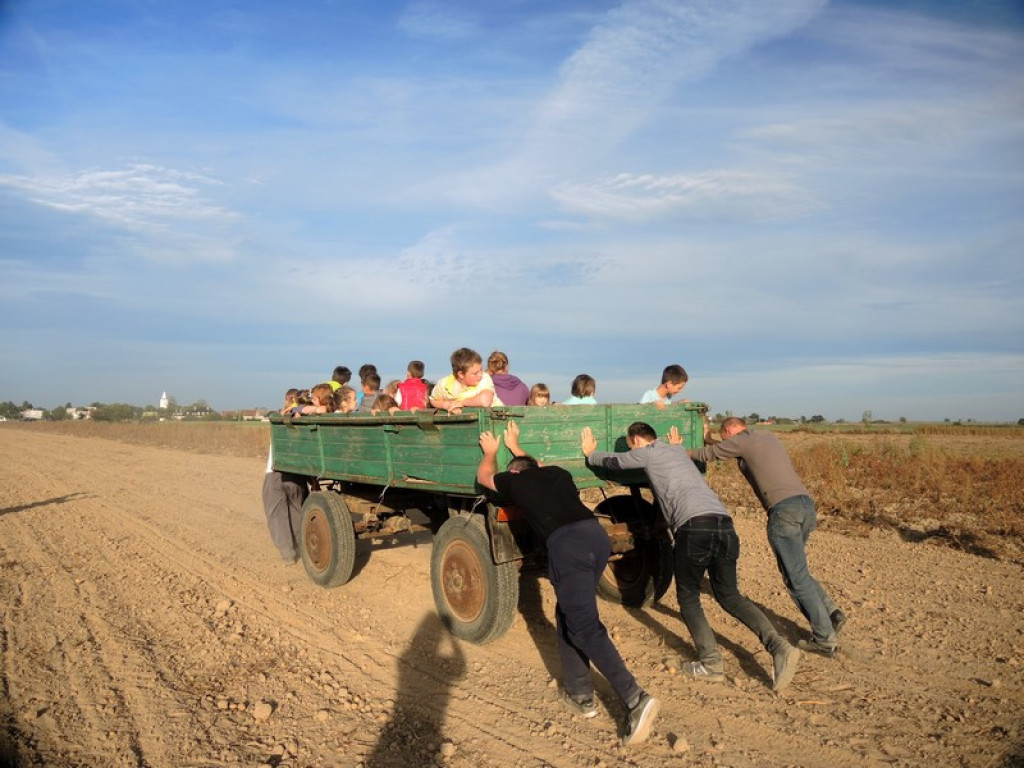 Wykopki jak za dawnych lat