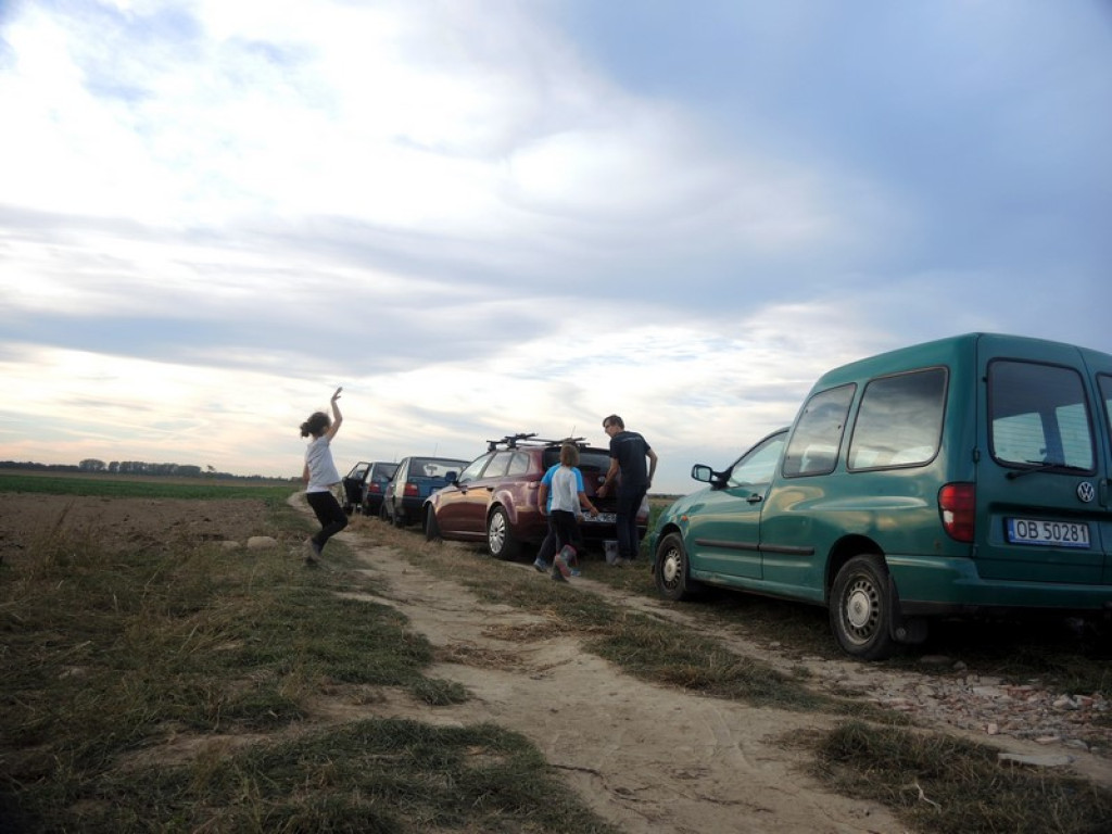 Wykopki jak za dawnych lat