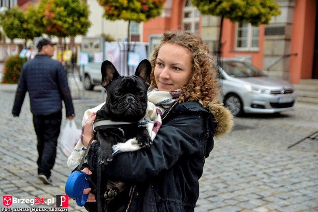 Miśki po raz czwarty w Grodkowie [fotorelacja]