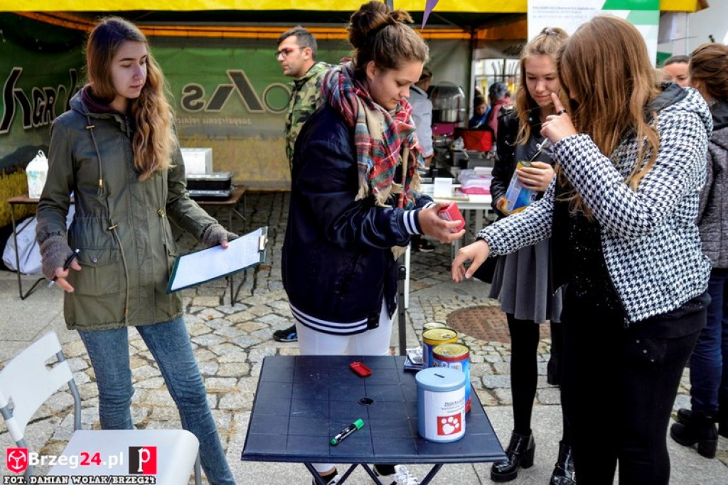 Miśki po raz czwarty w Grodkowie [fotorelacja]