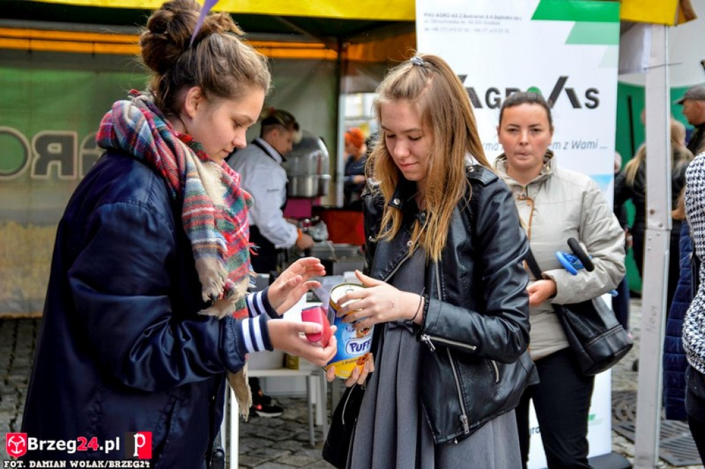 Miśki po raz czwarty w Grodkowie [fotorelacja]