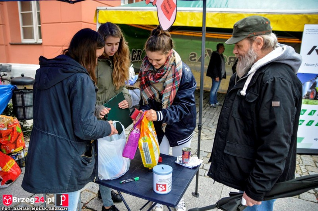 Miśki po raz czwarty w Grodkowie [fotorelacja]