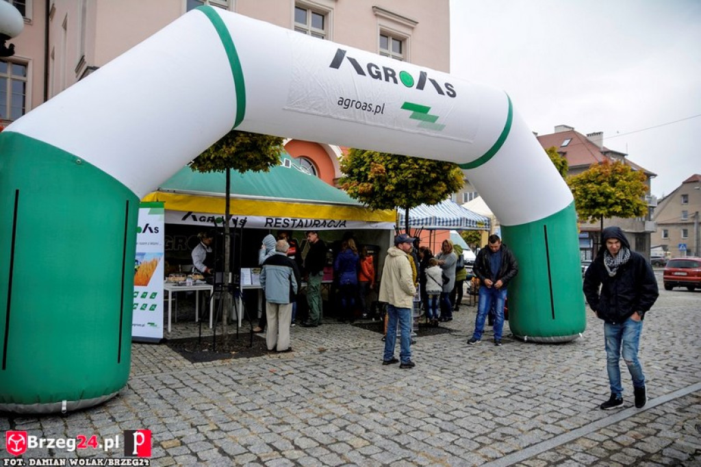 Miśki po raz czwarty w Grodkowie [fotorelacja]