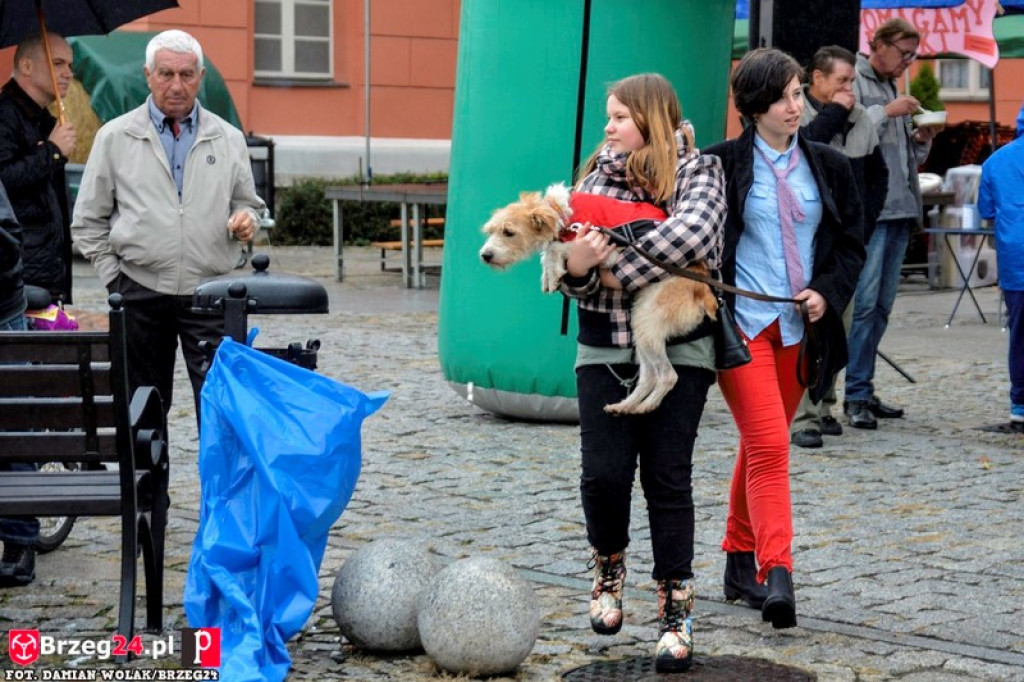 Miśki po raz czwarty w Grodkowie [fotorelacja]