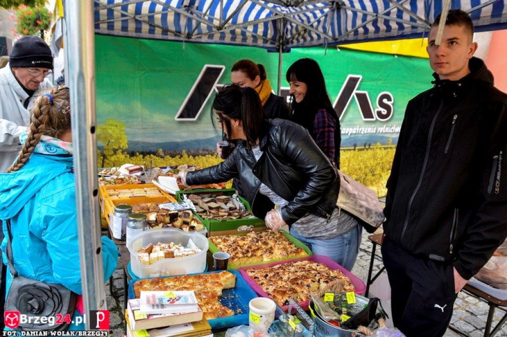 Miśki po raz czwarty w Grodkowie [fotorelacja]