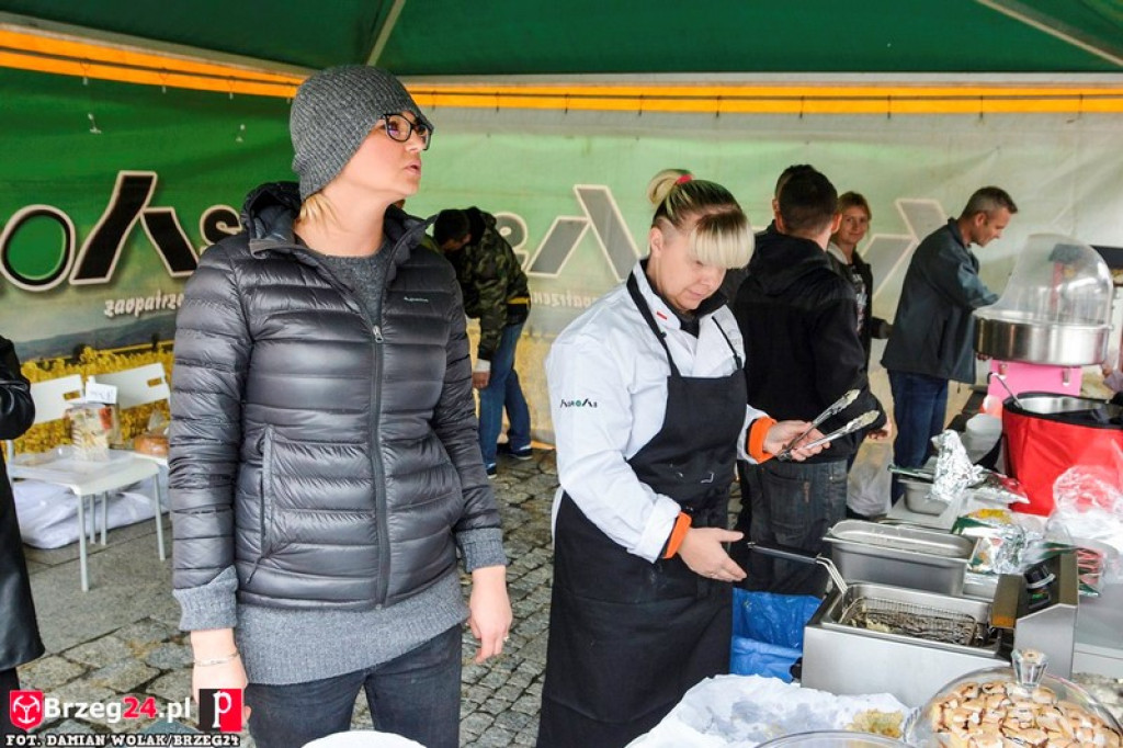 Miśki po raz czwarty w Grodkowie [fotorelacja]