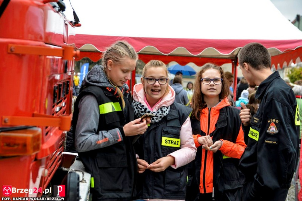 Miśki po raz czwarty w Grodkowie [fotorelacja]