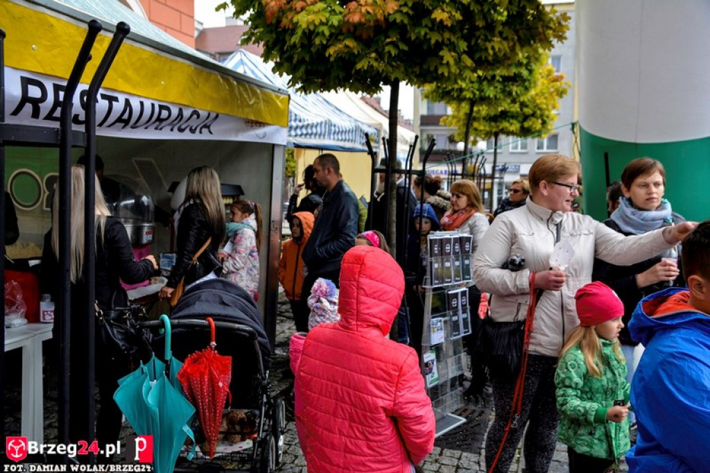 Miśki po raz czwarty w Grodkowie [fotorelacja]