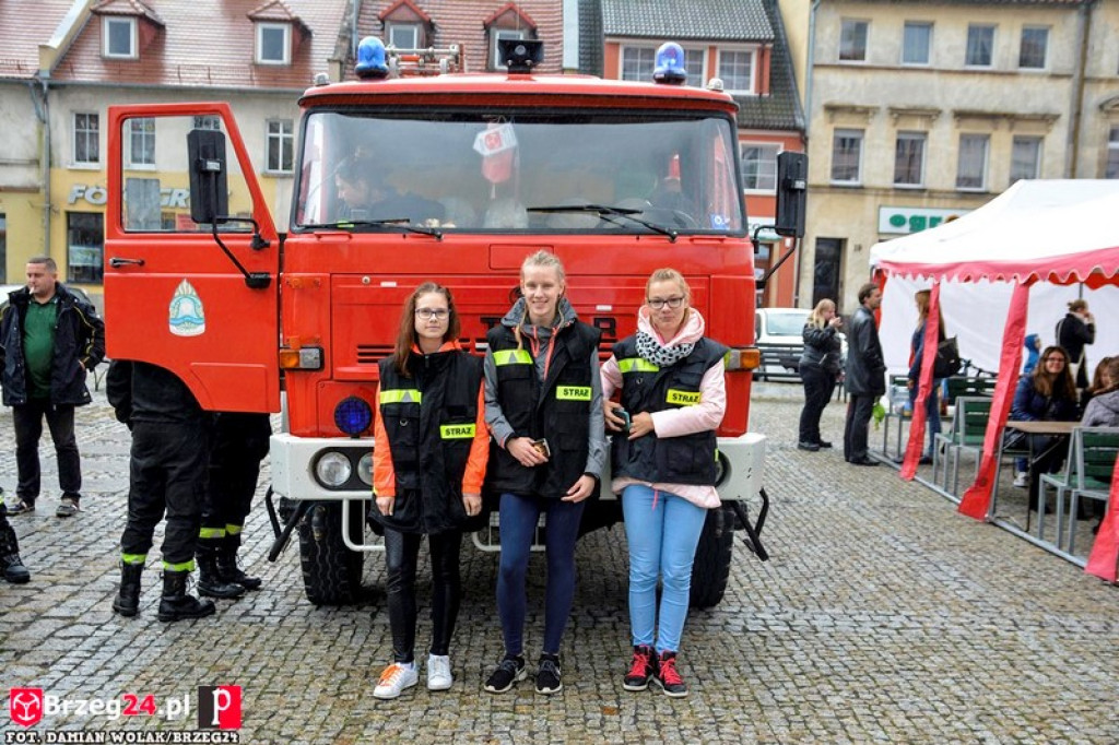 Miśki po raz czwarty w Grodkowie [fotorelacja]