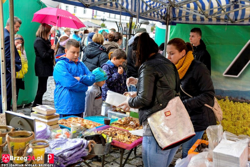 Miśki po raz czwarty w Grodkowie [fotorelacja]