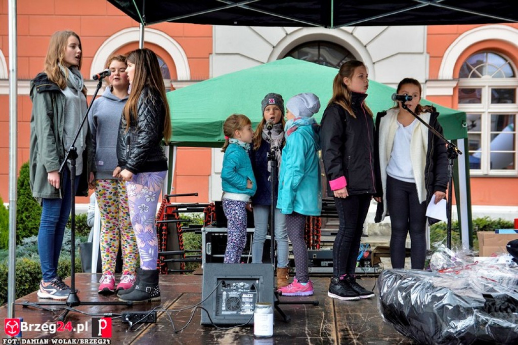 Miśki po raz czwarty w Grodkowie [fotorelacja]
