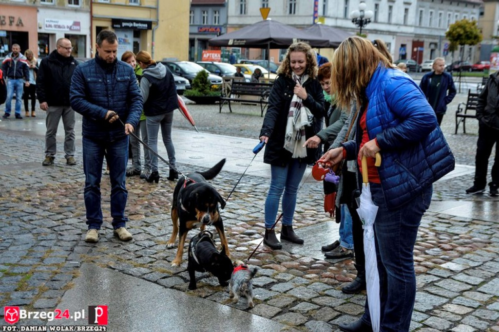 Miśki po raz czwarty w Grodkowie [fotorelacja]