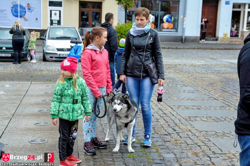 Miśki po raz czwarty w Grodkowie [fotorelacja]