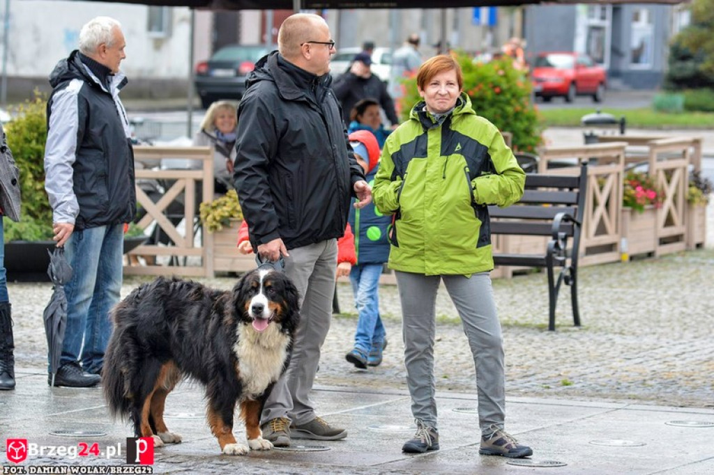 Miśki po raz czwarty w Grodkowie [fotorelacja]