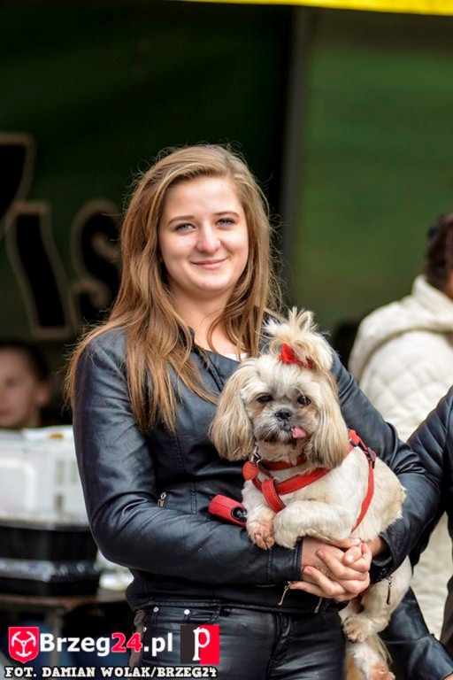 Miśki po raz czwarty w Grodkowie [fotorelacja]