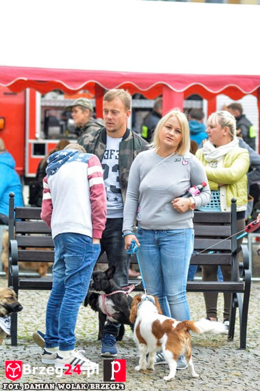 Miśki po raz czwarty w Grodkowie [fotorelacja]