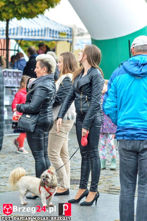 Miśki po raz czwarty w Grodkowie [fotorelacja]