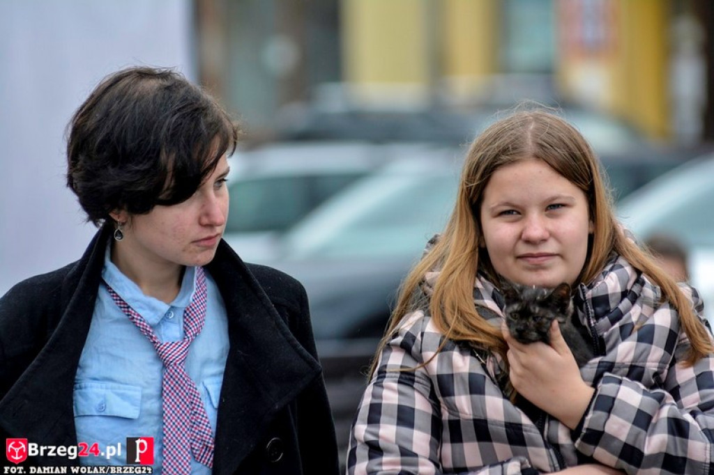 Miśki po raz czwarty w Grodkowie [fotorelacja]