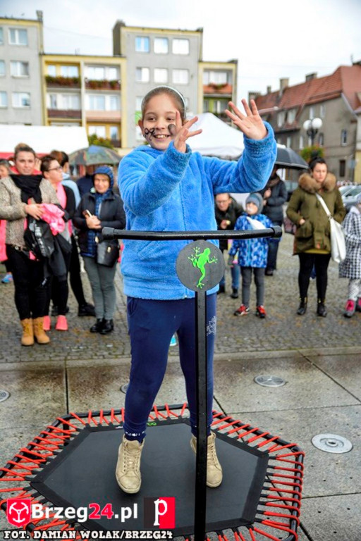 Miśki po raz czwarty w Grodkowie [fotorelacja]
