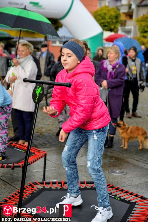Miśki po raz czwarty w Grodkowie [fotorelacja]
