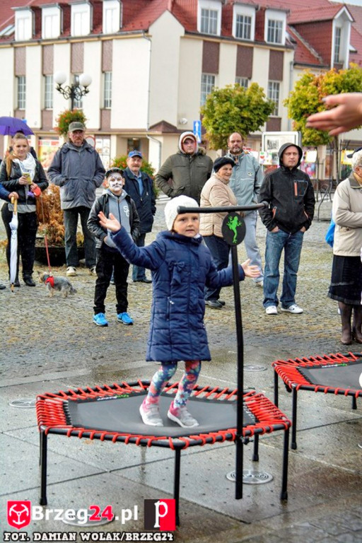 Miśki po raz czwarty w Grodkowie [fotorelacja]