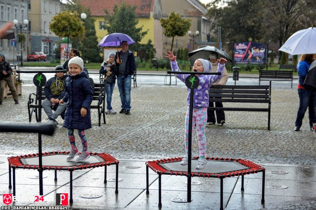 Miśki po raz czwarty w Grodkowie [fotorelacja]