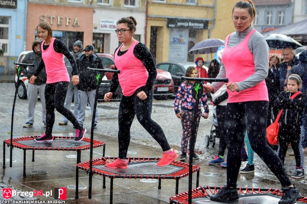 Miśki po raz czwarty w Grodkowie [fotorelacja]