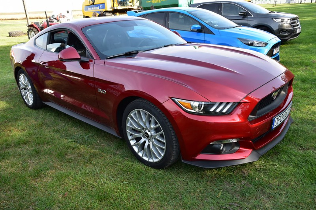 Moc atrakcji w Łosiowie. Trwa festyn charytatywny dla Mateusza [galeria zdjęć]