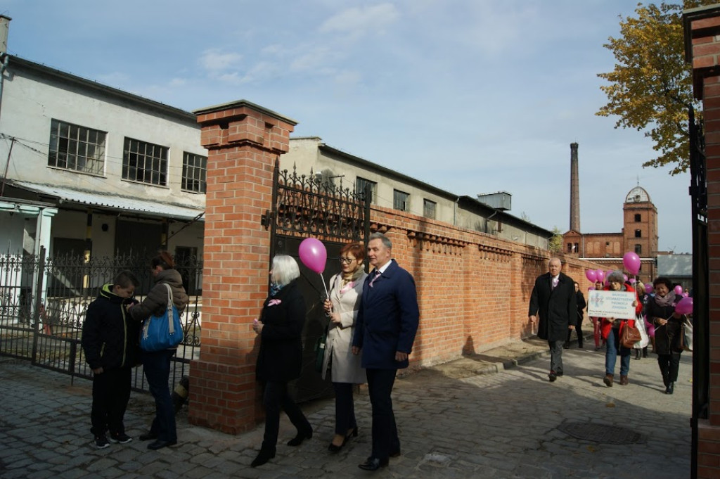 Drugi Marsz Różowej Wstążki w Brzegu [fotorelacja]