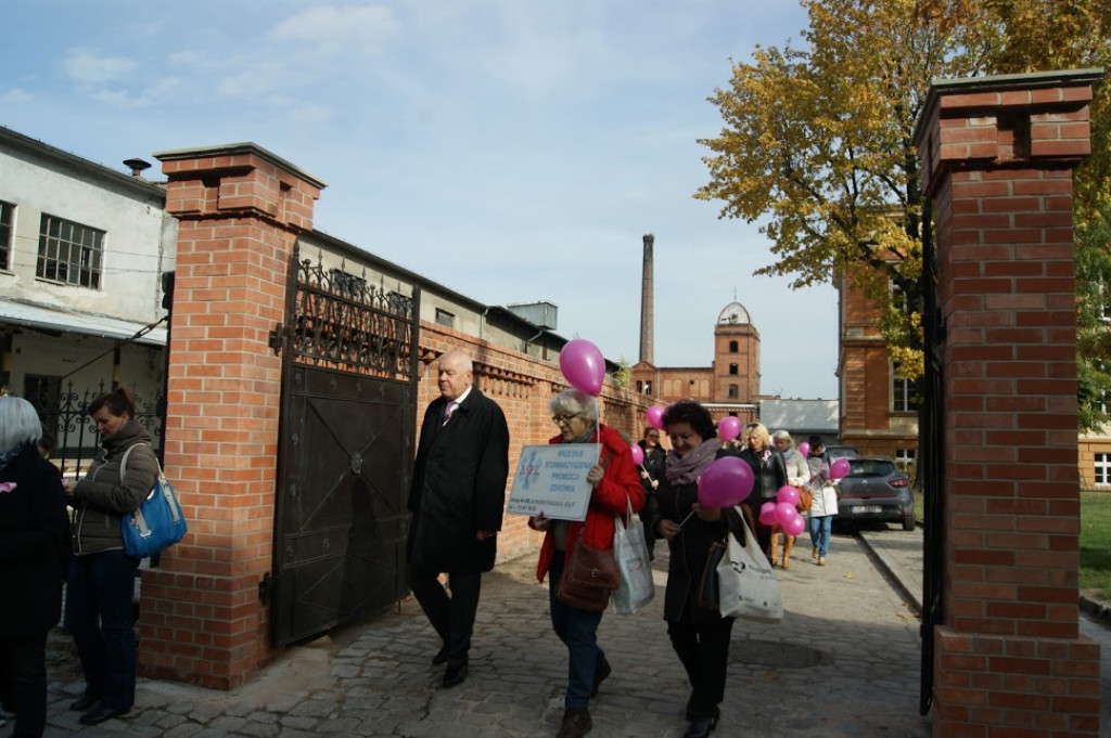 Drugi Marsz Różowej Wstążki w Brzegu [fotorelacja]