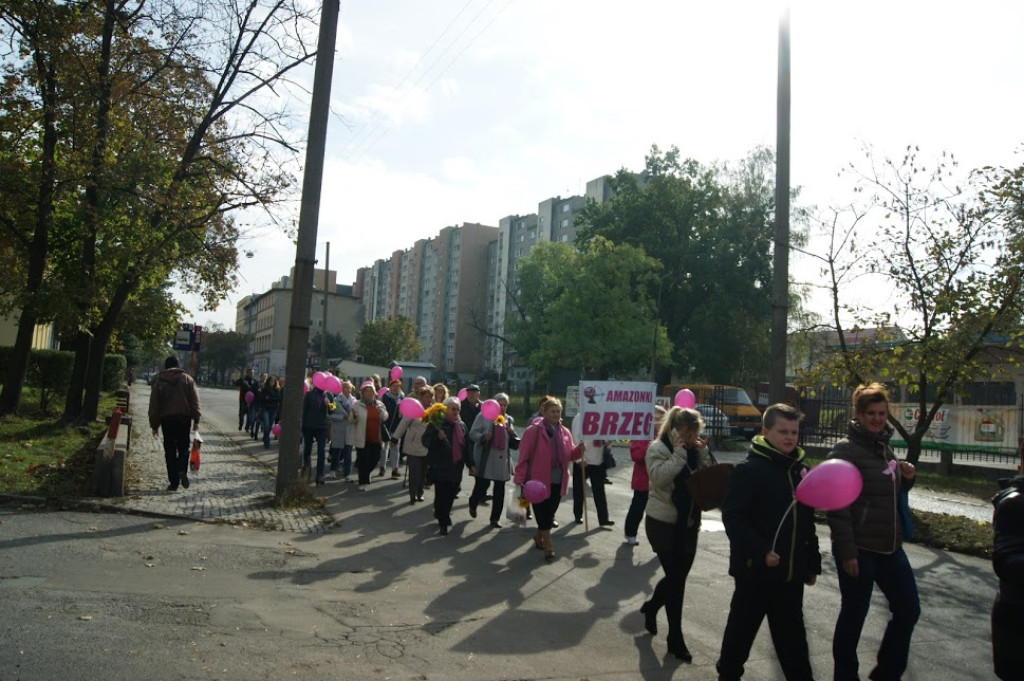 Drugi Marsz Różowej Wstążki w Brzegu [fotorelacja]