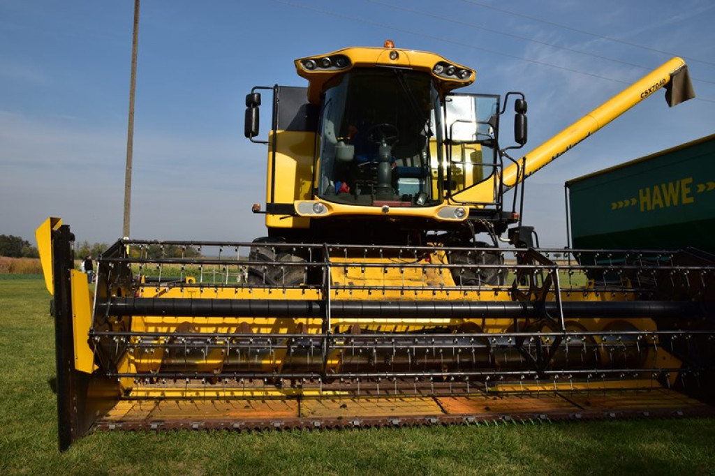 Moc atrakcji w Łosiowie. Trwa festyn charytatywny dla Mateusza [galeria zdjęć]