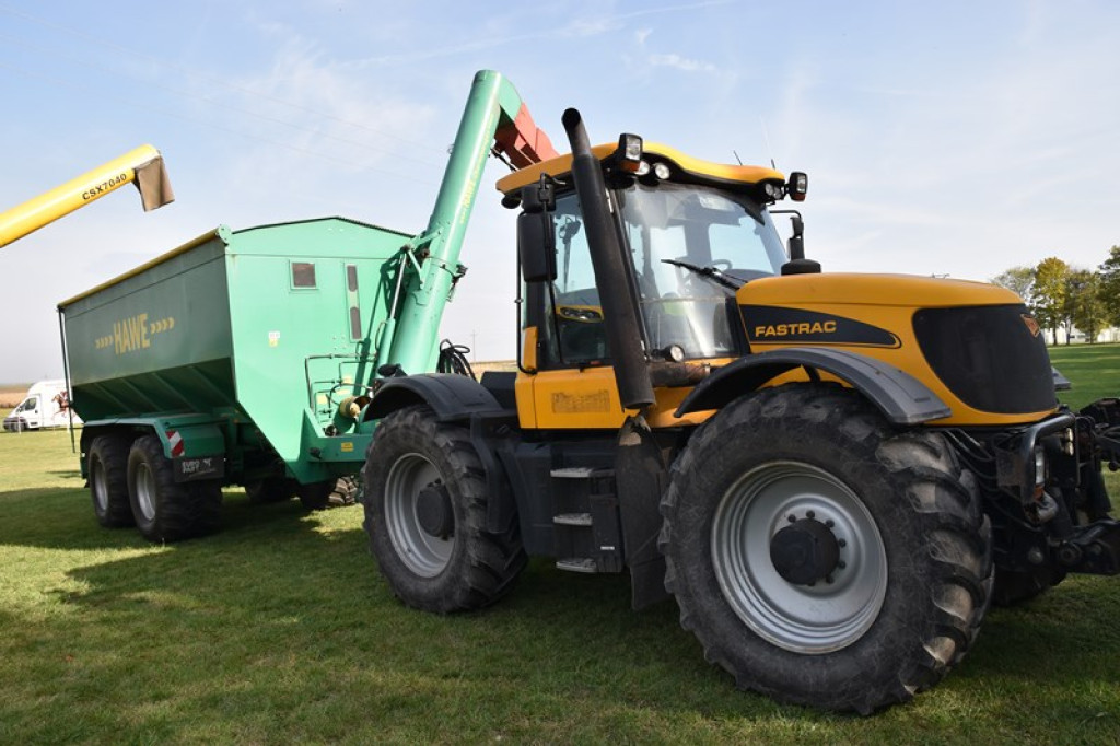 Moc atrakcji w Łosiowie. Trwa festyn charytatywny dla Mateusza [galeria zdjęć]