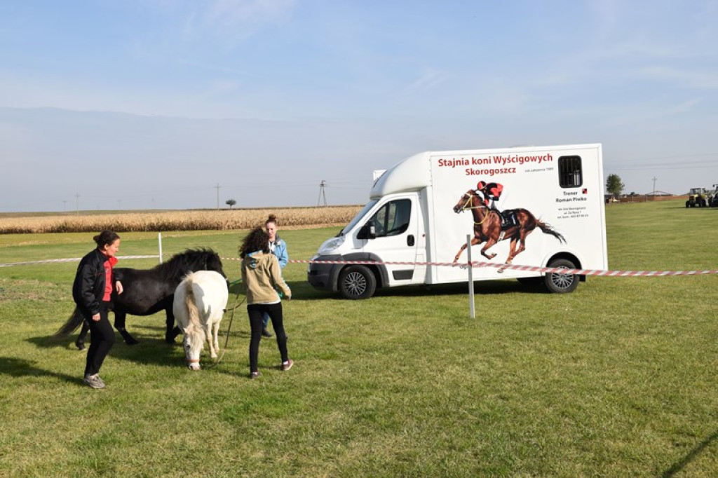 Moc atrakcji w Łosiowie. Trwa festyn charytatywny dla Mateusza [galeria zdjęć]