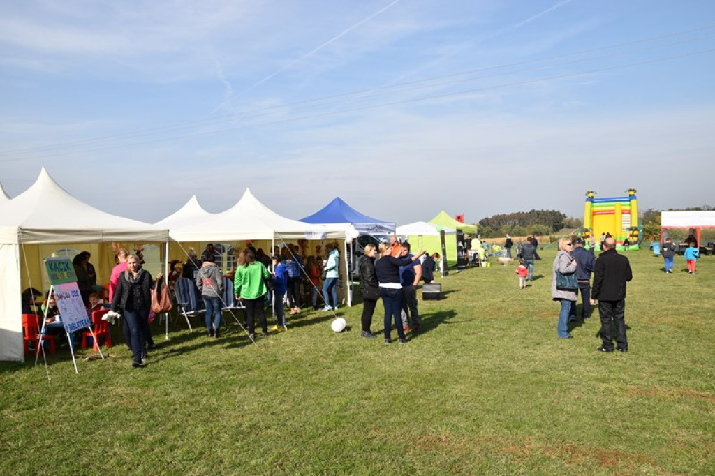 Moc atrakcji w Łosiowie. Trwa festyn charytatywny dla Mateusza [galeria zdjęć]