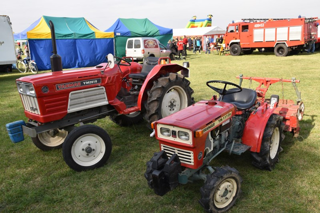 Rekordowa suma podczas festynu charytatywnego w Łosiowie!