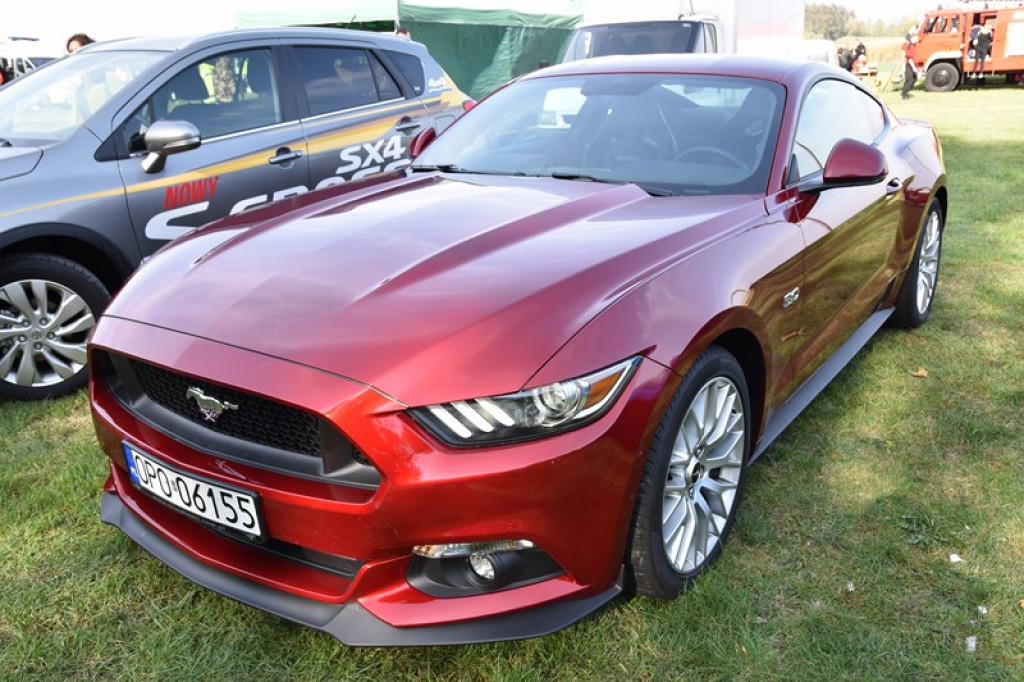 Rekordowa suma podczas festynu charytatywnego w Łosiowie!