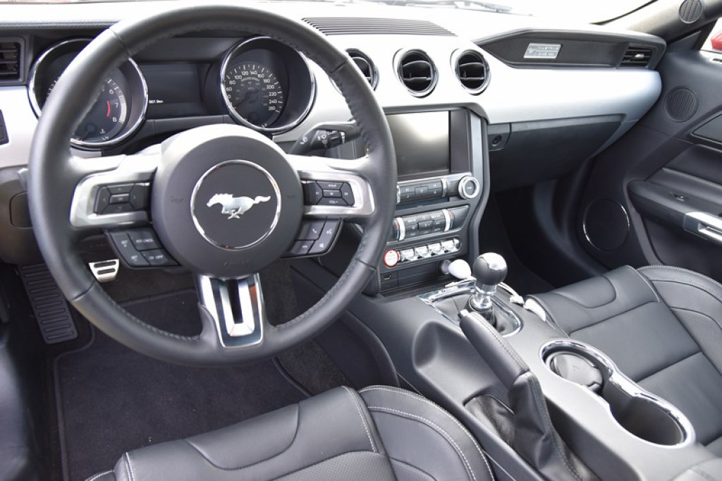 Rekordowa suma podczas festynu charytatywnego w Łosiowie!