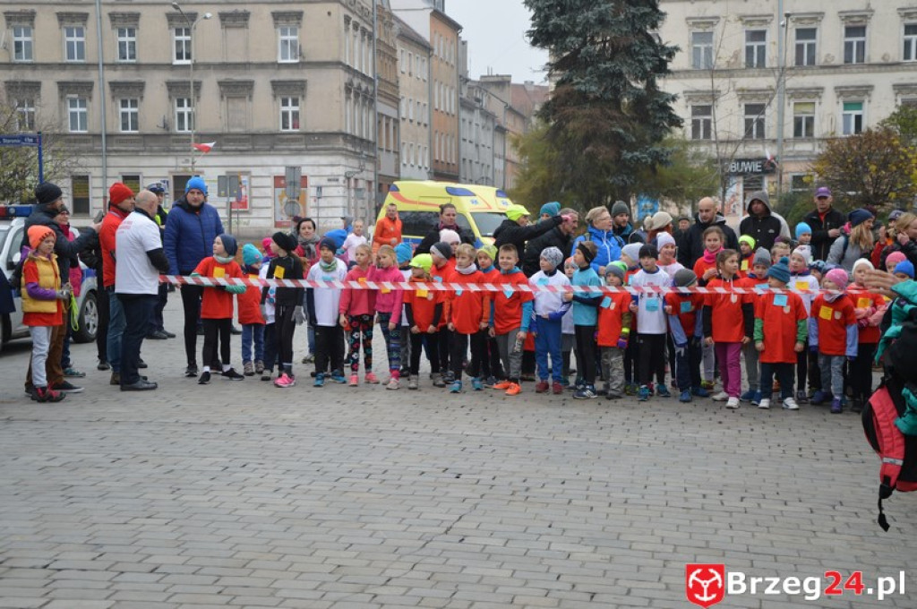 Brzeg świętuje w 98 rocznicę odzyskania niepodległości