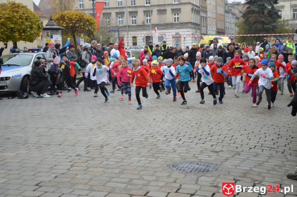 Brzeg świętuje w 98 rocznicę odzyskania niepodległości