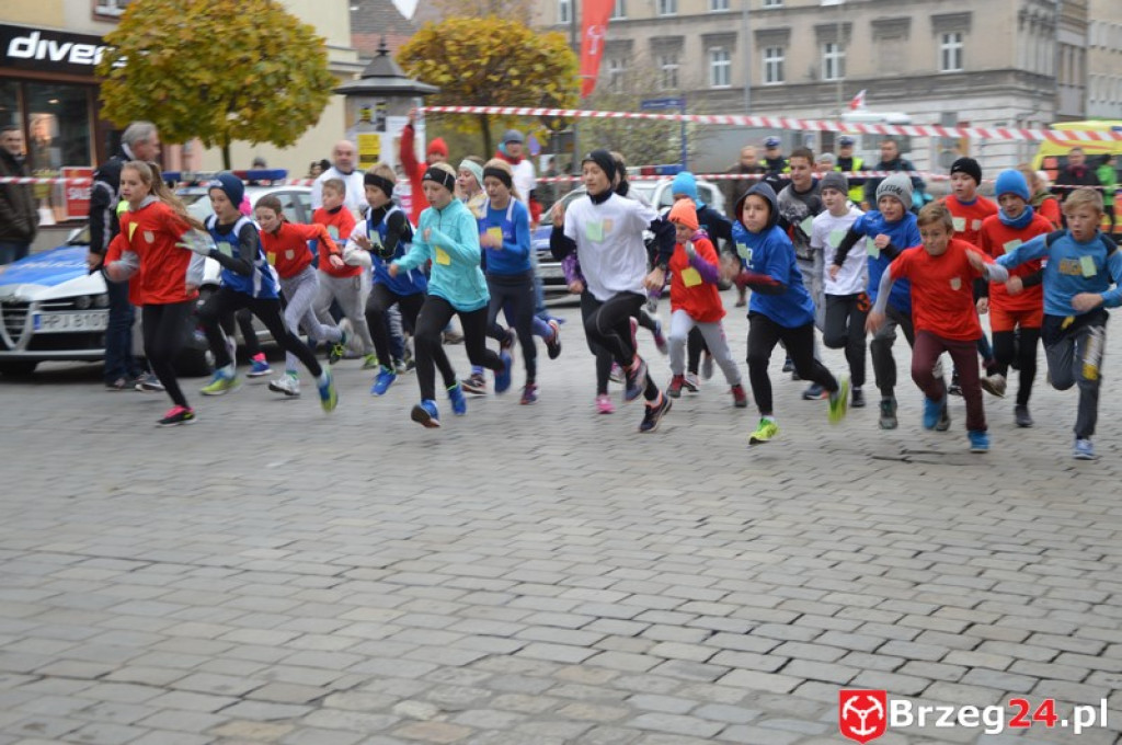 Brzeg świętuje w 98 rocznicę odzyskania niepodległości