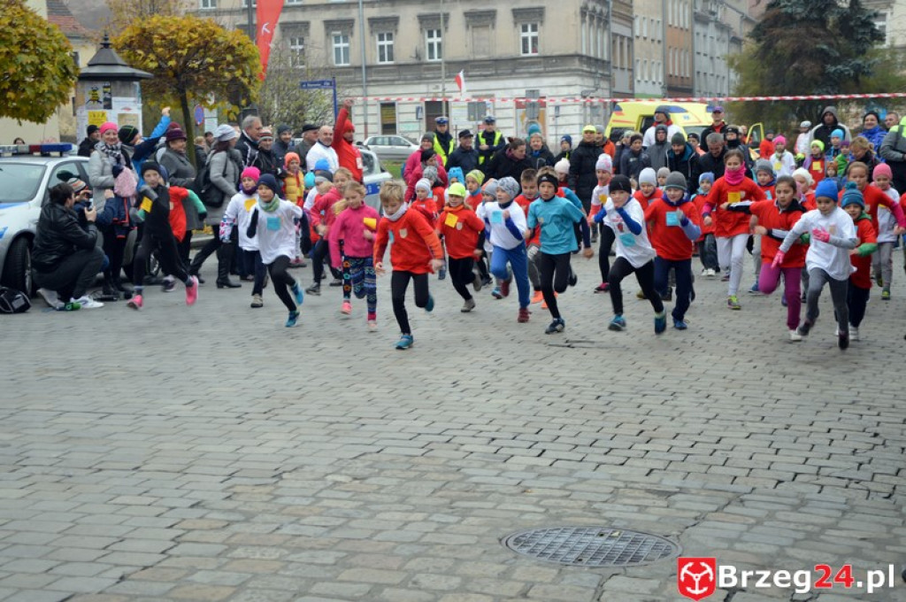 Brzeg świętuje w 98 rocznicę odzyskania niepodległości