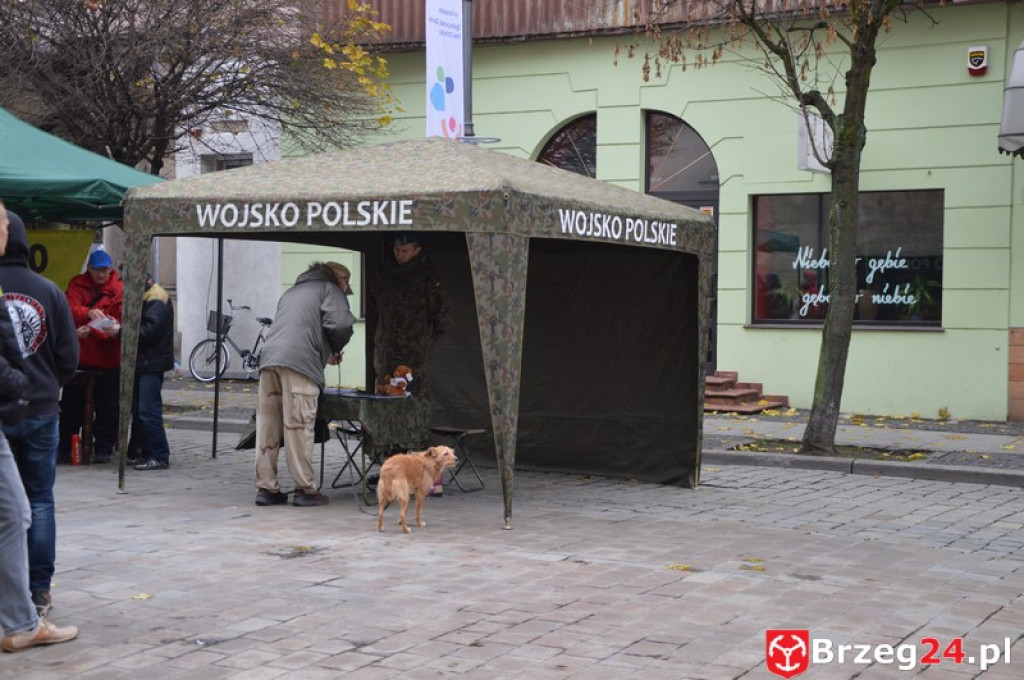 Brzeg świętuje w 98 rocznicę odzyskania niepodległości