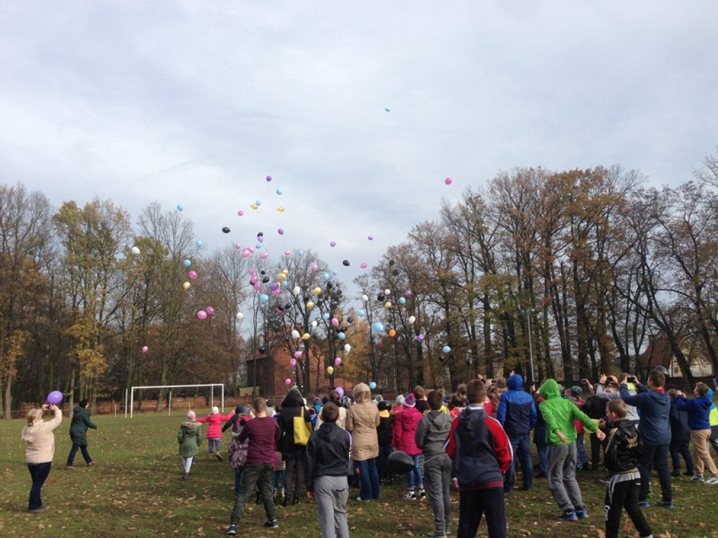 Obchody Dnia Praw Dziecka w Skorogoszczy.