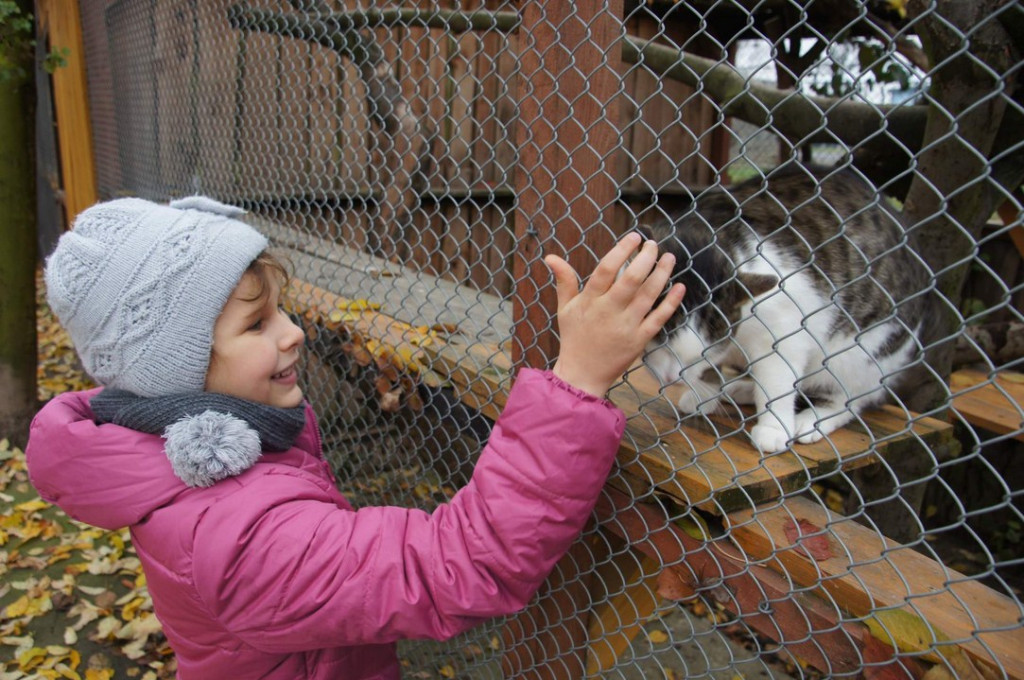 ŚWIATOWY DZIEŃ ZWIERZĄT